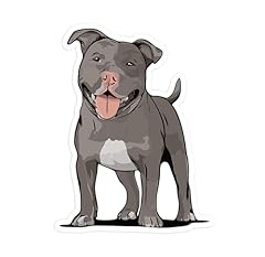 Pit bull terrier for sale  Delivered anywhere in USA 