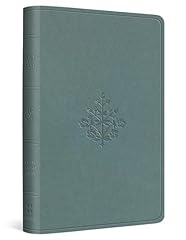 Holy bible english gebraucht kaufen  Wird an jeden Ort in Deutschland