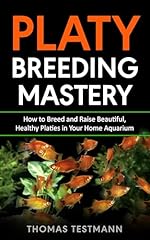 Platy breeding mastery for sale  Delivered anywhere in UK