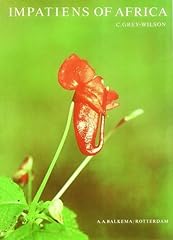 Impatiens africa d'occasion  Livré partout en France