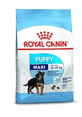 Royal canin shn usato  Spedito ovunque in Italia 