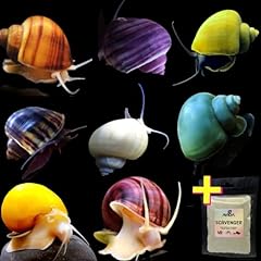 Mystery snails food for sale  Delivered anywhere in USA 