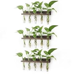 Renmxj plant propagation for sale  Delivered anywhere in USA 