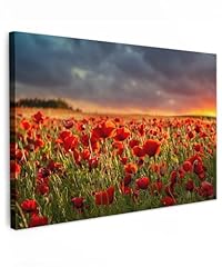 Muchowow leinwand bilder gebraucht kaufen  Wird an jeden Ort in Deutschland