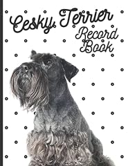 Cesky terrier fantastic for sale  Delivered anywhere in UK