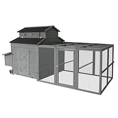 Chicken coop chickens for sale  Delivered anywhere in USA 