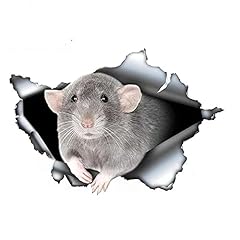 Gris dumbo rat d'occasion  Livré partout en Belgiqu