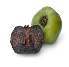 80pcs black sapote for sale  Delivered anywhere in USA 