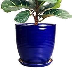 Epfamily ceramic planter for sale  Delivered anywhere in USA 