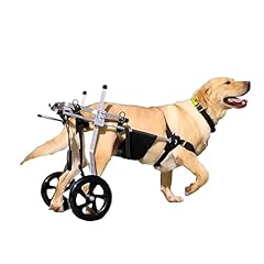 Prujoy fauteuil roulant d'occasion  Livré partout en France