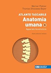 Atlante tascabile anatomia usato  Spedito ovunque in Italia 