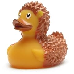 Duckshop canard bain d'occasion  Livré partout en France