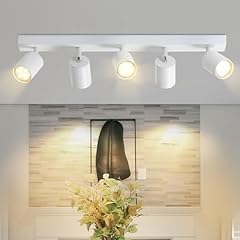 Homefire led deckenstrahler gebraucht kaufen  Wird an jeden Ort in Deutschland