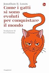 Come gatti sono usato  Spedito ovunque in Italia 