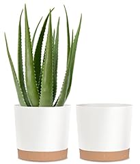 Kubvici plant pots for sale  Delivered anywhere in USA 