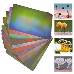 Bunte makro fotografie gebraucht kaufen  Wird an jeden Ort in Deutschland