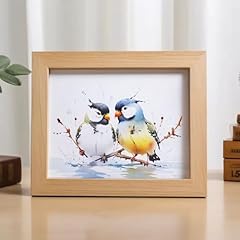 Enchanted love birds for sale  Delivered anywhere in USA 