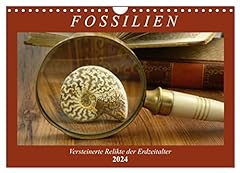 Fossilien versteinerte relikte gebraucht kaufen  Wird an jeden Ort in Deutschland