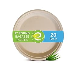 Eco soul 100 for sale  Delivered anywhere in USA 