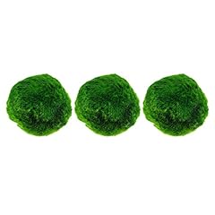 Ibasenice marimo moss for sale  Delivered anywhere in UK