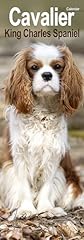 Cavalier king charles d'occasion  Livré partout en Belgiqu