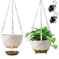 Koalaime hanging planter for sale  Delivered anywhere in USA 