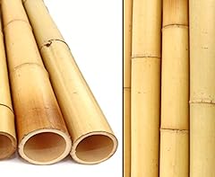 Tige bambou jaune d'occasion  Livré partout en France