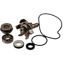 Variante kit revisione usato  Spedito ovunque in Italia 