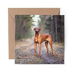 Greeting card rhodesian for sale  Delivered anywhere in UK