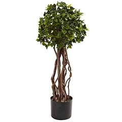 Nearly natural 2.5ft. for sale  Delivered anywhere in USA 