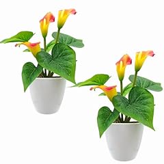 Carfoeny 2pcs calla for sale  Delivered anywhere in USA 