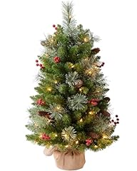 Amaoasis 3ft pre for sale  Delivered anywhere in USA 