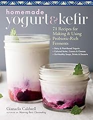 Homemade yogurt kefir d'occasion  Livré partout en Belgiqu