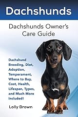 Dachshunds dachshund breeding for sale  Delivered anywhere in USA 