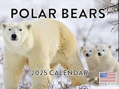 Polar bear calendar for sale  Delivered anywhere in USA 