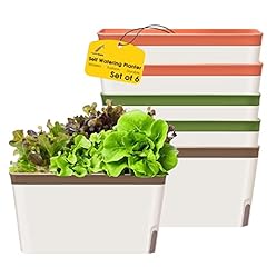Gardenbasix self watering for sale  Delivered anywhere in USA 