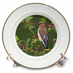 3drose inch porcelain for sale  Delivered anywhere in USA 
