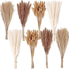 200pcs dried flower for sale  Delivered anywhere in USA 