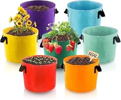 Latern 7pcs gallons for sale  Delivered anywhere in UK