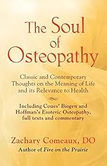 The soul osteopathy d'occasion  Livré partout en Belgiqu