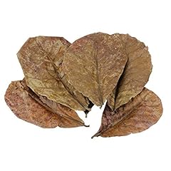 Huyipin pack natural for sale  Delivered anywhere in UK