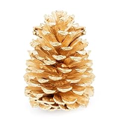 Foliage pine cones for sale  Delivered anywhere in USA 