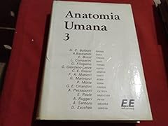Anatomia umana volume usato  Spedito ovunque in Italia 