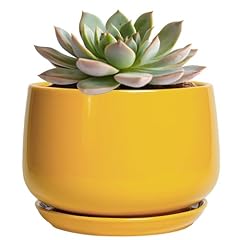 Epgardening ceramic plant for sale  Delivered anywhere in USA 
