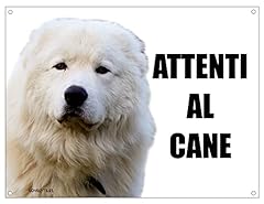 Maremmano attenti cane usato  Spedito ovunque in Italia 