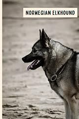 Norwegian elkhound perfect for sale  Delivered anywhere in UK