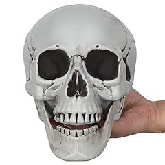 Realistic human skull for sale  Delivered anywhere in USA 