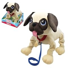 chien carlin d'occasion chien carlin d'occasion Livré partout en France