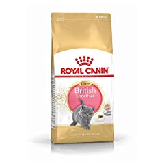 Royal canin kitten for sale  Delivered anywhere in UK