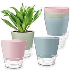 Hayder plant pots for sale  Delivered anywhere in USA 